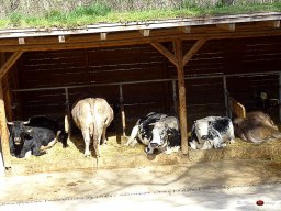 Tiergarten Schönbrunn am 23.03.2023